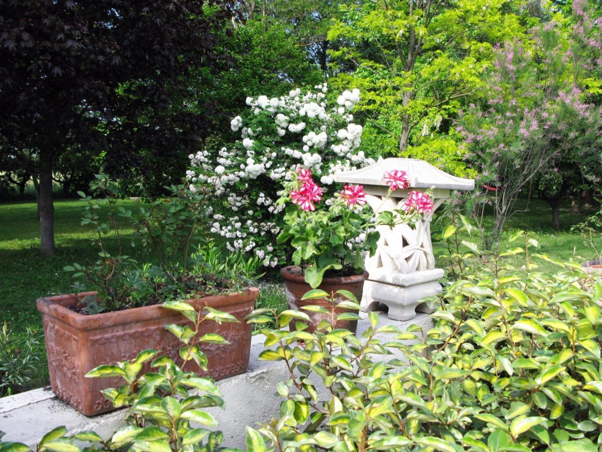 Le Jardin D'Erables St Remy 7 Ha Piscine/Clim Villa Paluds de Noves Exterior photo